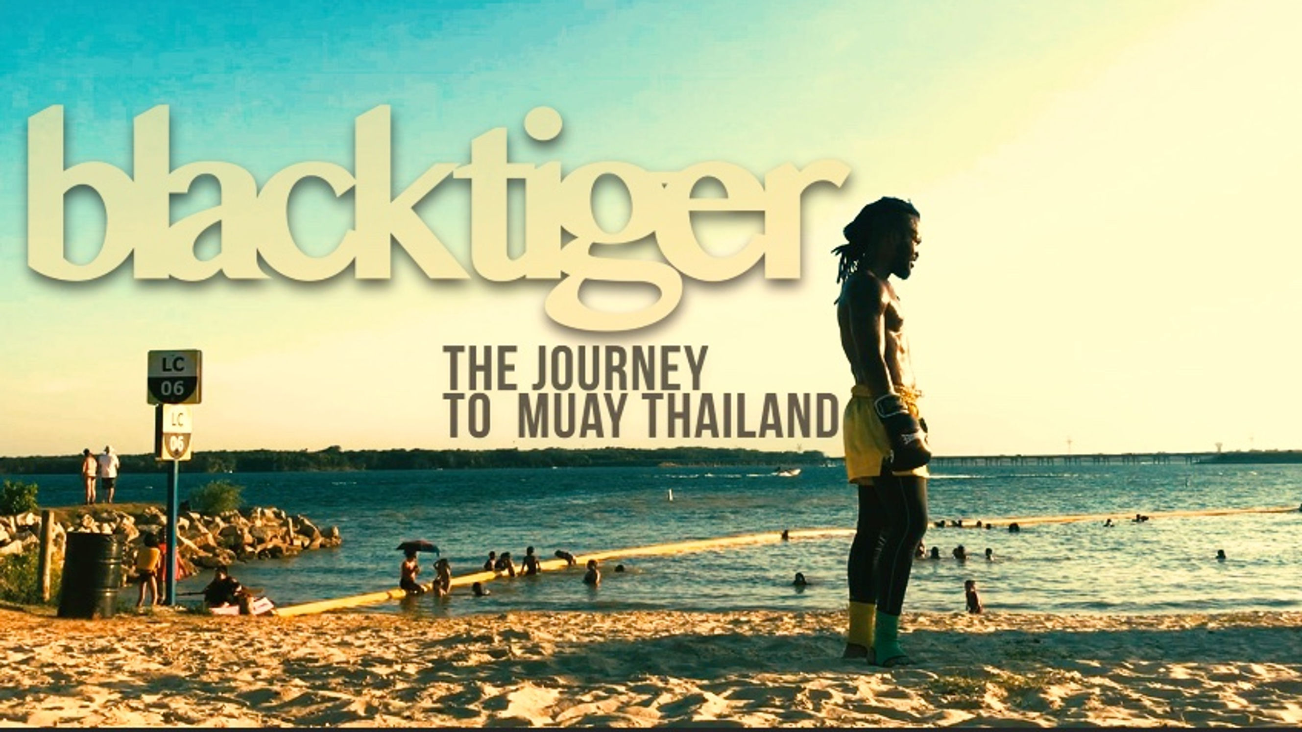BlackTiger Show theme